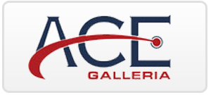 Ace Galleria